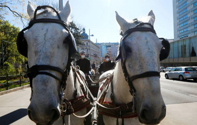 carruajes
