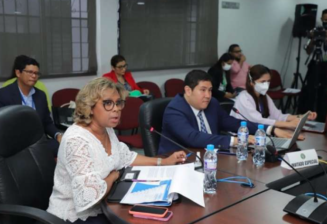 Viceministra MINSA
