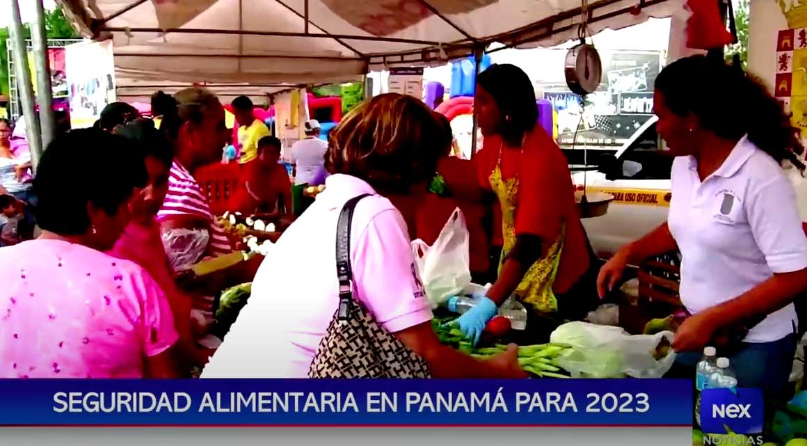 alimentos