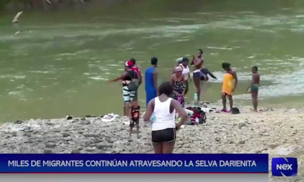 Miles de migrantes continúan atravesando la selva darienita – NexPanama