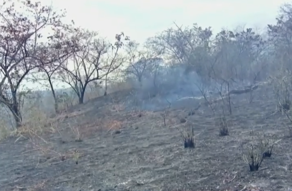 Captura de pantalla 2026-03-18 a la(s) 2.17.02 p. m.