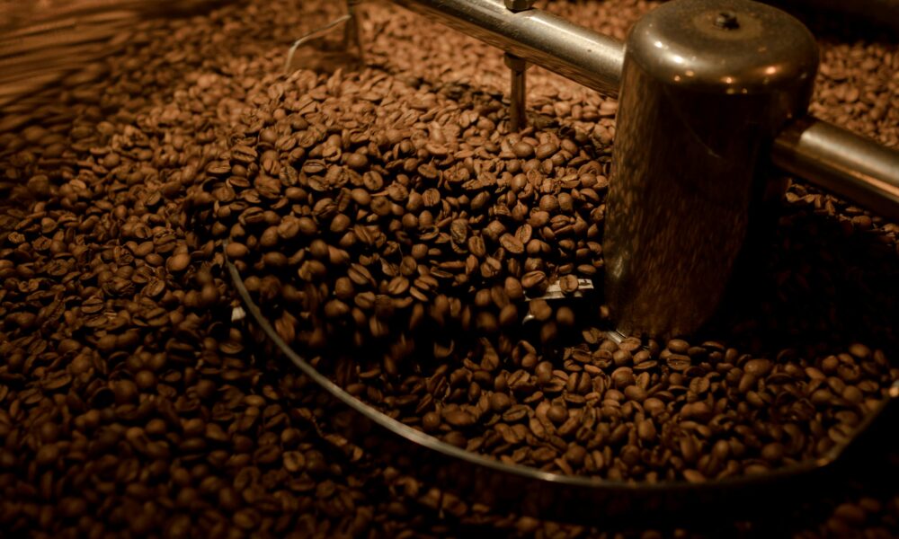 La asamblea aprueba exportar 90,000 quintales de café oro