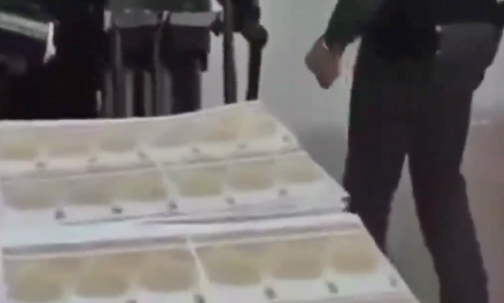 Italia desmantela fábrica de billetes falsos