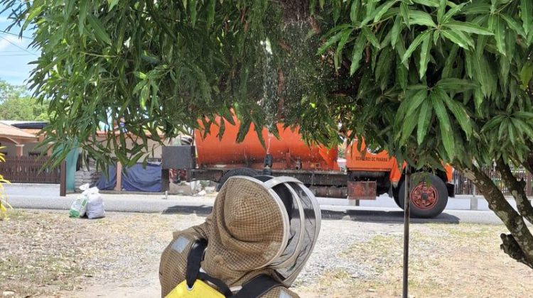 e474abab-2390-490f-8fdb-1144bda76b08-750×420